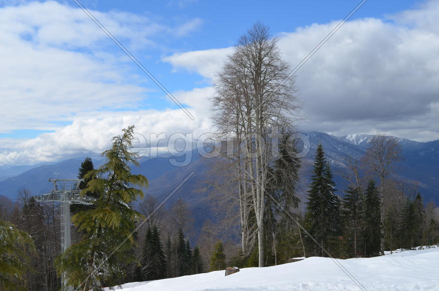 Под небом голубым
