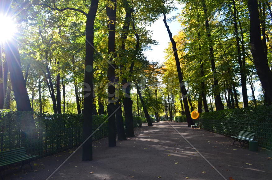 Парк в утренних лучах