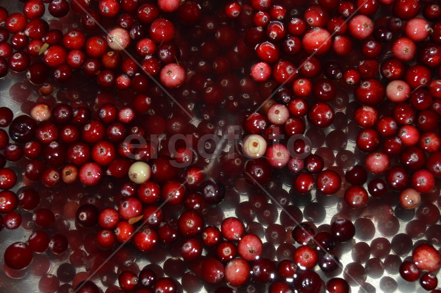 клюква в воде