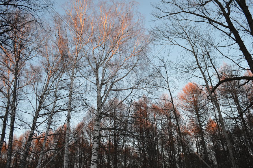 Оракнжевое в голубом