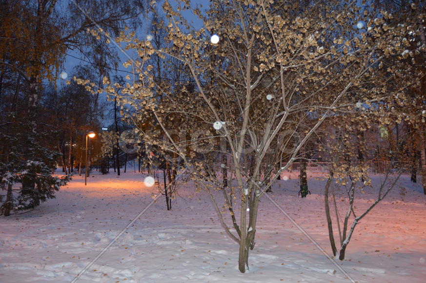 Казань. Заснеженный зимний парк 