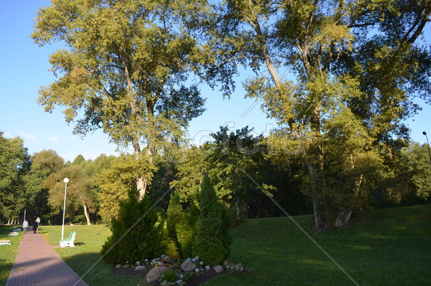 Парковая аллея в Белорусии 