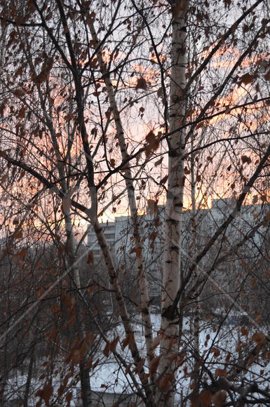 Вид из окна