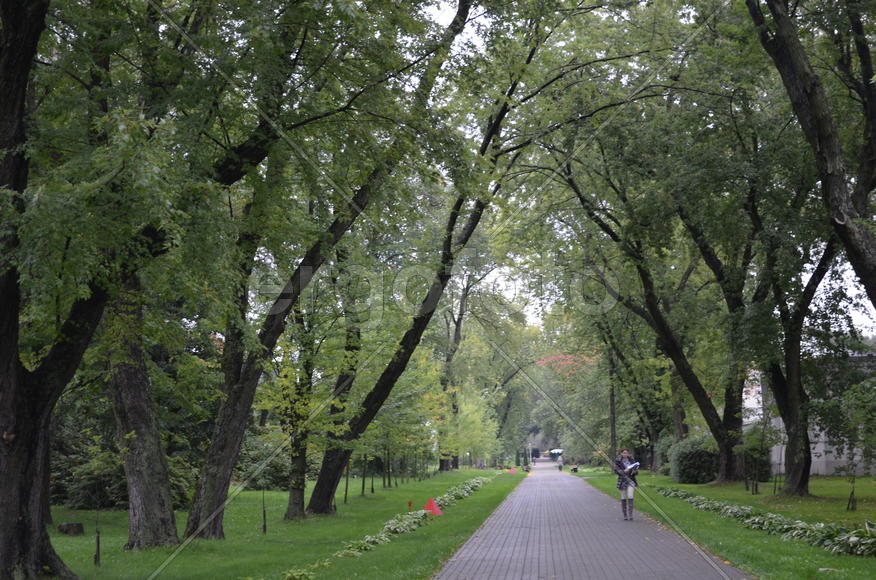 Садовая аллея