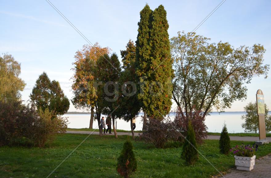 Набережная с клумбами и зелеными деревьями 