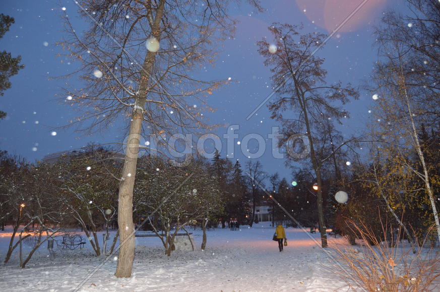 Казань. Заснеженный зимний парк 