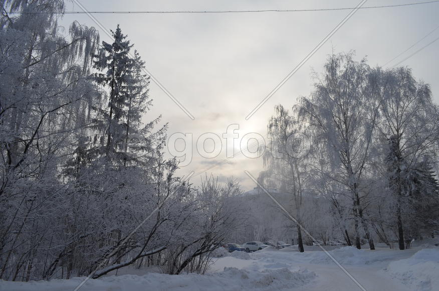 Зимнее утро