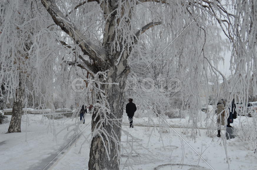 Русская зима. Казань. Городской сад 