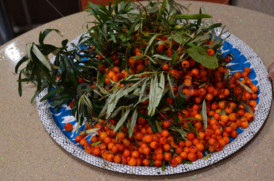 Целительные ягоды