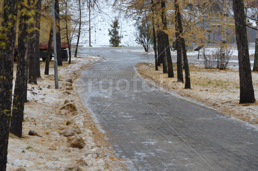 Первый снег поздней осенью 