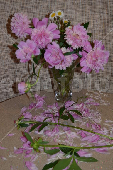 Букет розовых цветов в вазе 