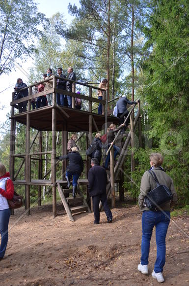 Туристы гуляют по зеленому лесу 