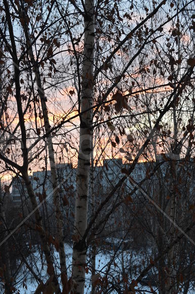 Утро в городе