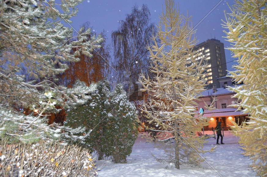 Казань. Заснеженный зимний парк 