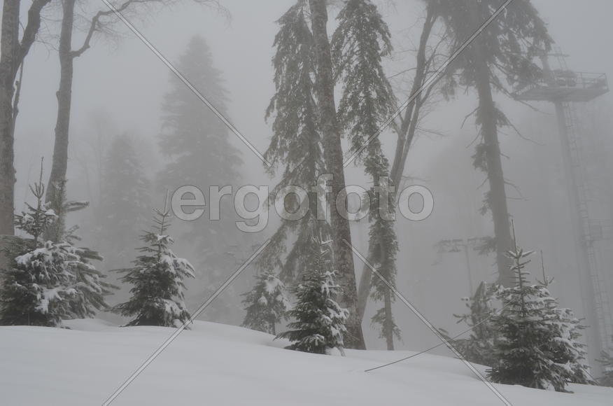 Пасмурное утро