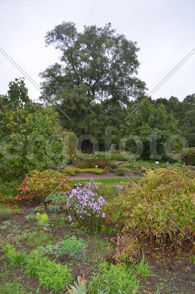 Пасмурный день