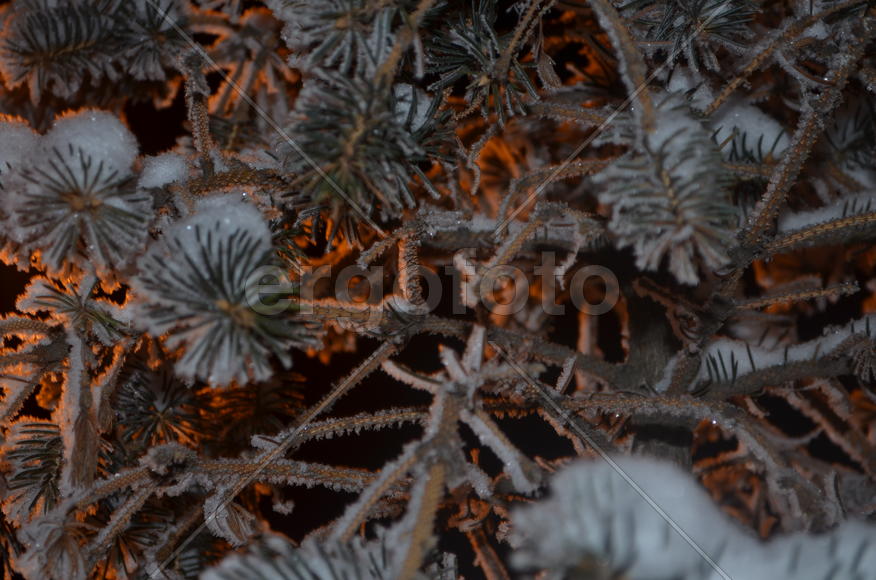 В ожидание волшебства