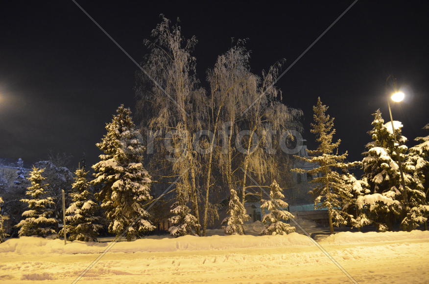 Ночной пейзаж