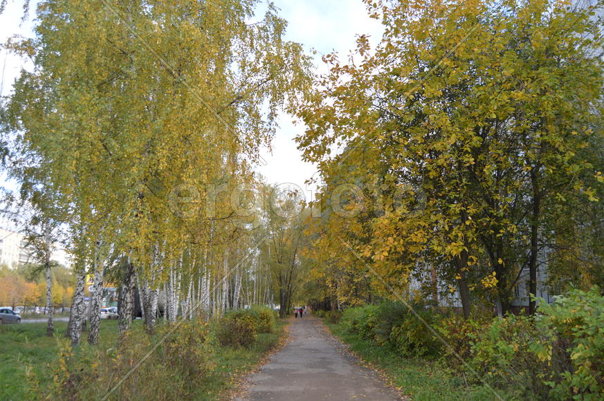 Пейзажи золотой осени в городе  и городских парках 