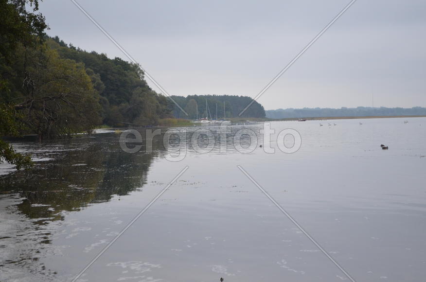 Утренняя дымка