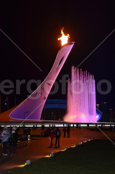 Сочи. Олимпийский огонь. Светомузыкальный фонтан.Факел в ночи