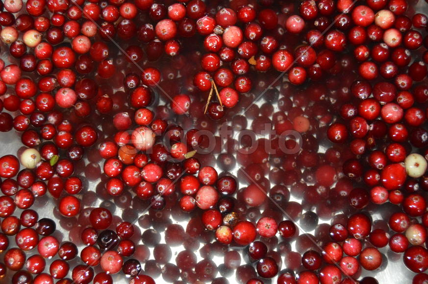 Клюква в воде