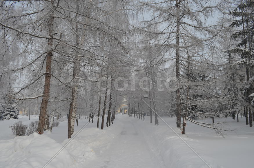 Лиственечная аллея