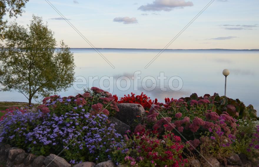 Набережная с клумбами и зелеными деревьями 