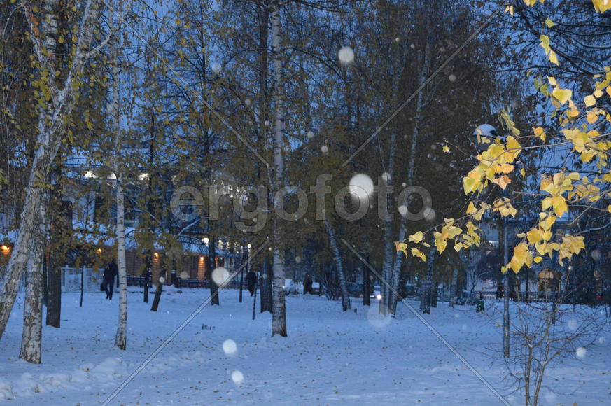 Казань. Заснеженный зимний парк 