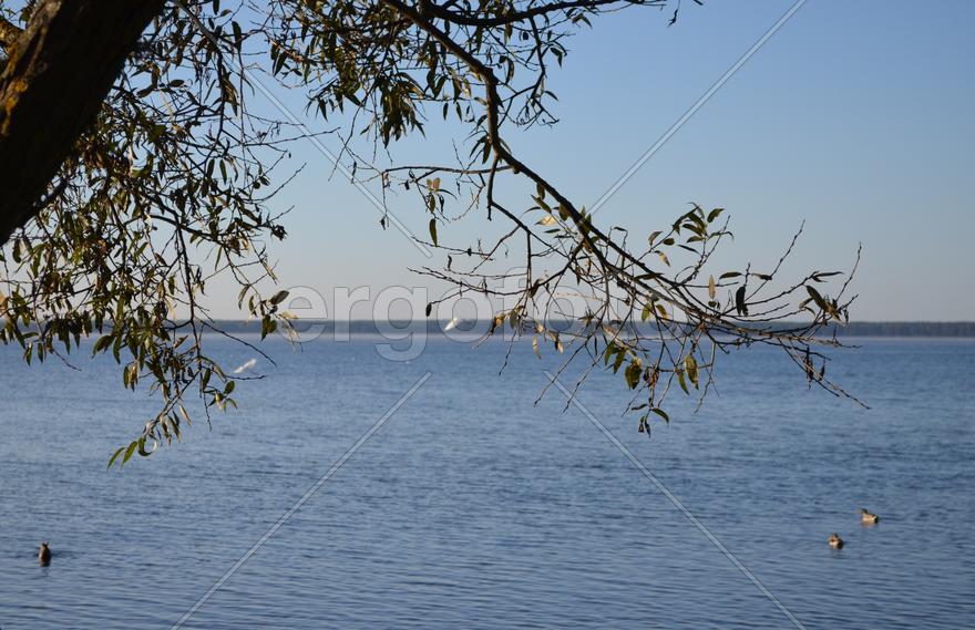 Побережье озера Нарочь в Белорусии 