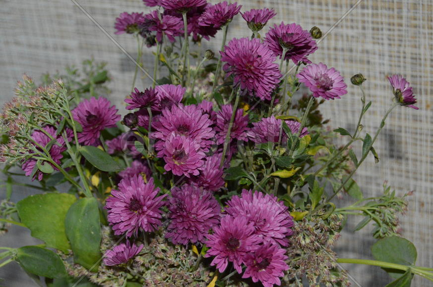 Букет сиреневых цветов 