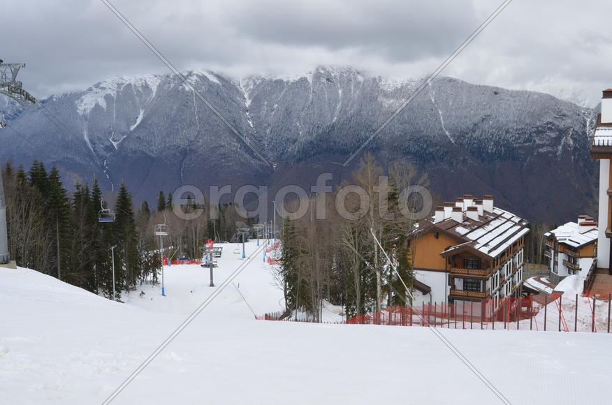 В серых тонах