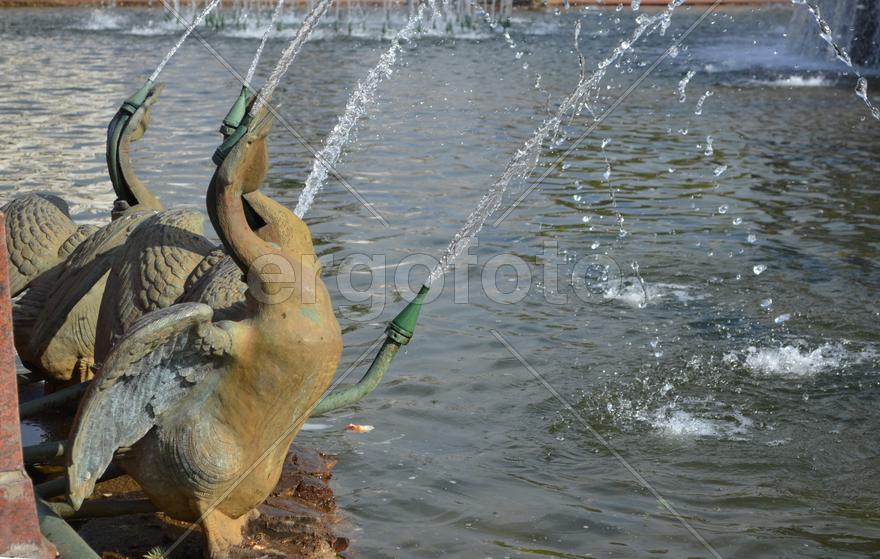 Москва. ВДНХ: фонтан "Каменный цветок"