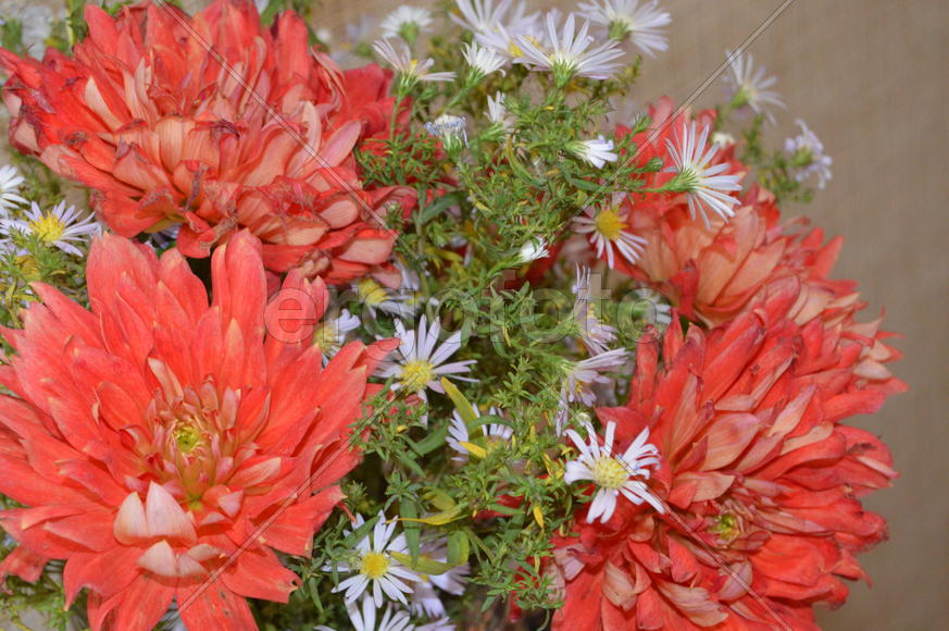 Композиция из цветов в букете 