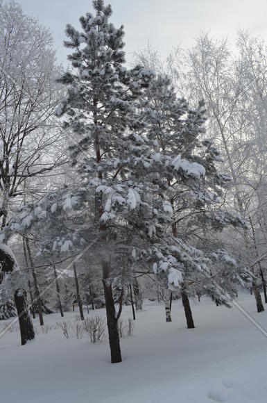 Зима на равнине