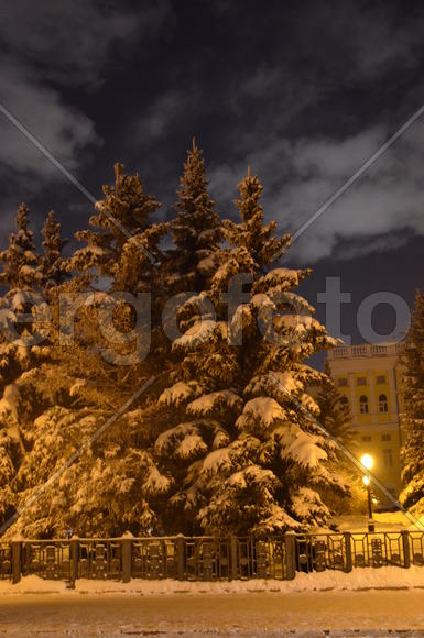 По пути домой