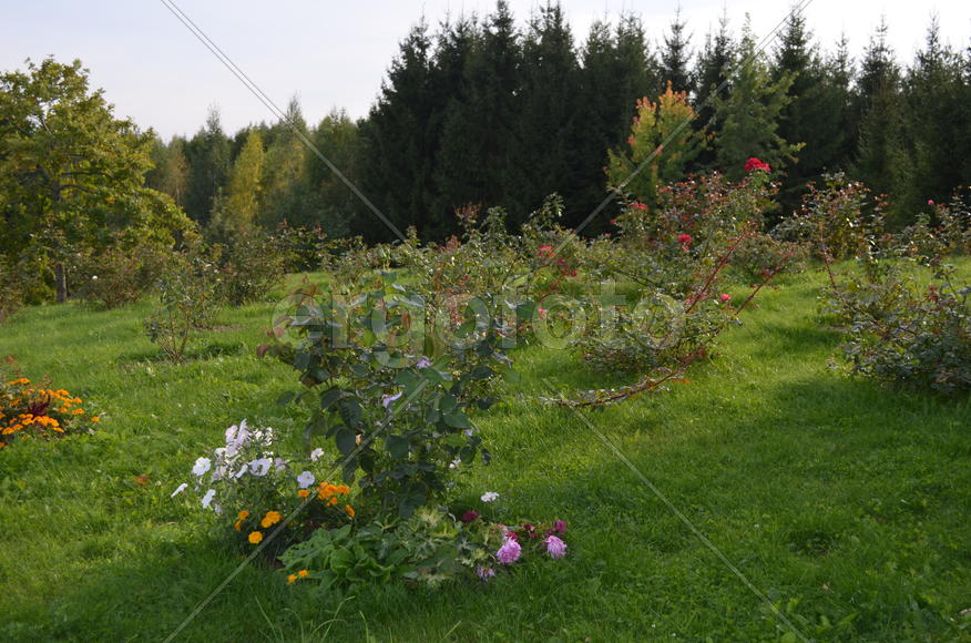 Садоводческое хозяйство 
