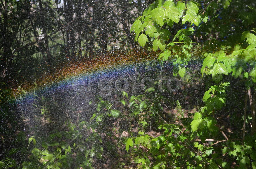 Радуга с брызгами воды 