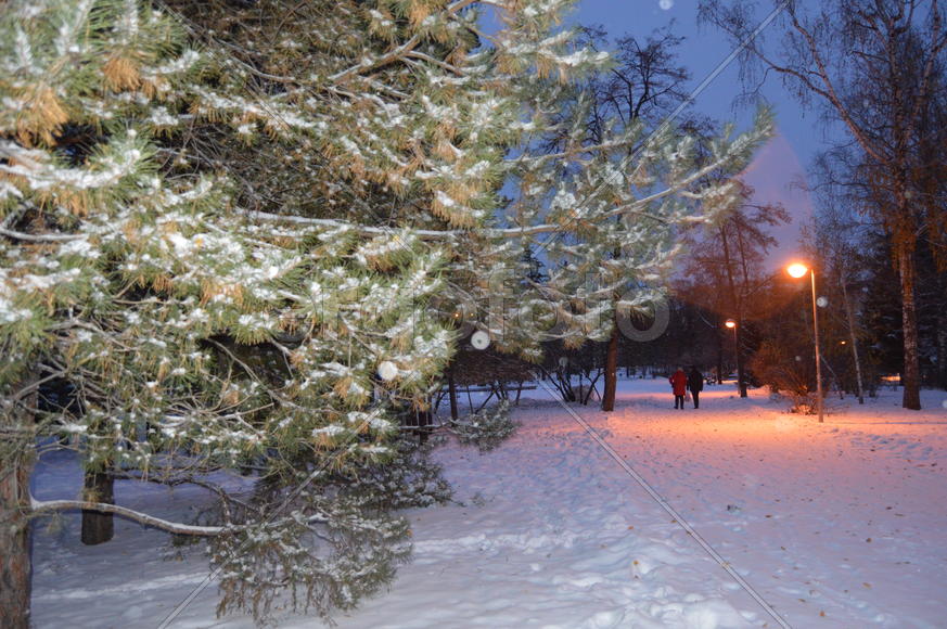 Казань. Заснеженный зимний парк 