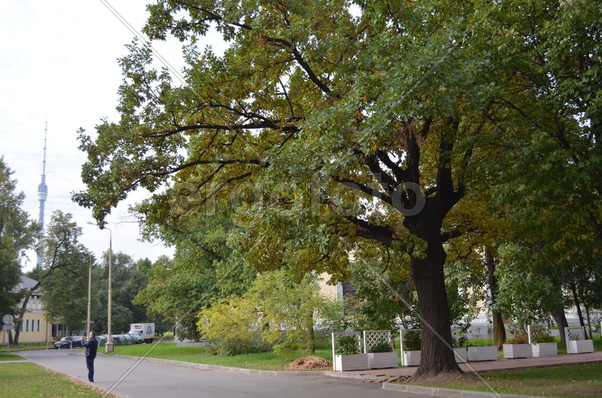 Парковая зона 