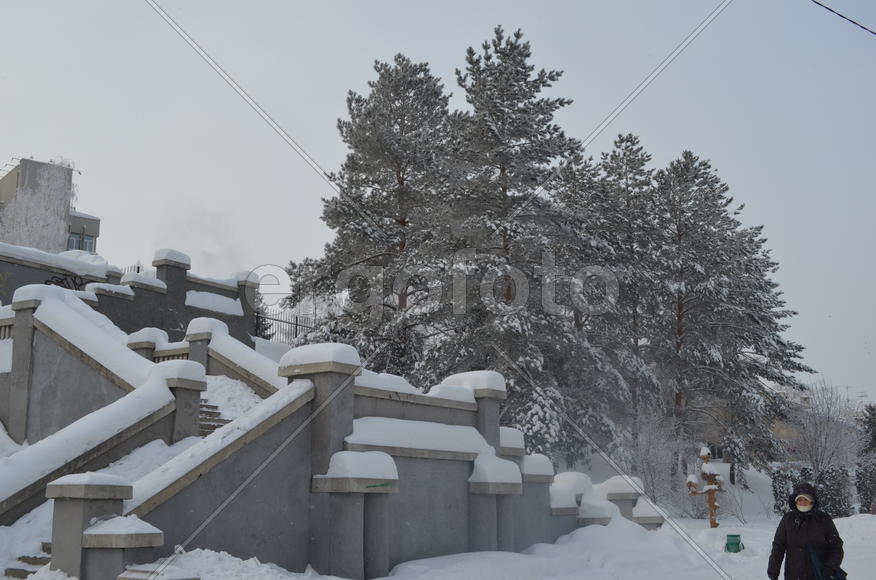 Лестница к знаниям