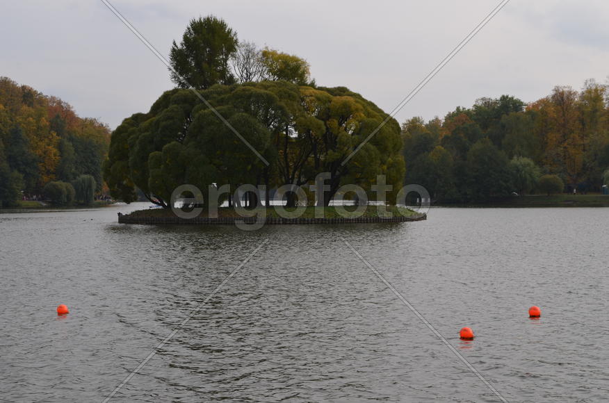 Островок: Верхний Царицынскпий пруд