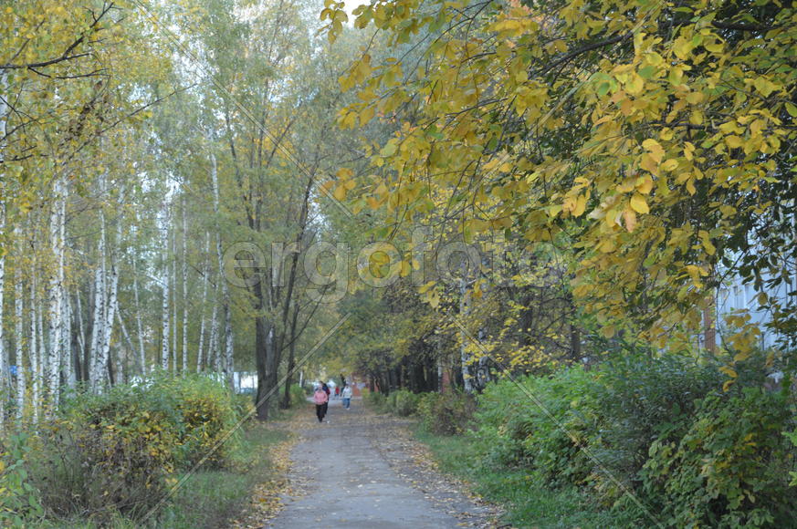 Пейзажи золотой осени в городе  и городских парках 