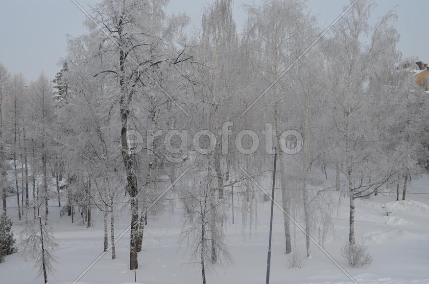 Ленинский садик