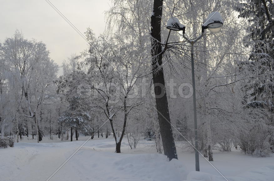 Пасмурное утро