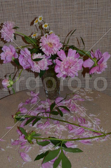 Букет розовых цветов в вазе 