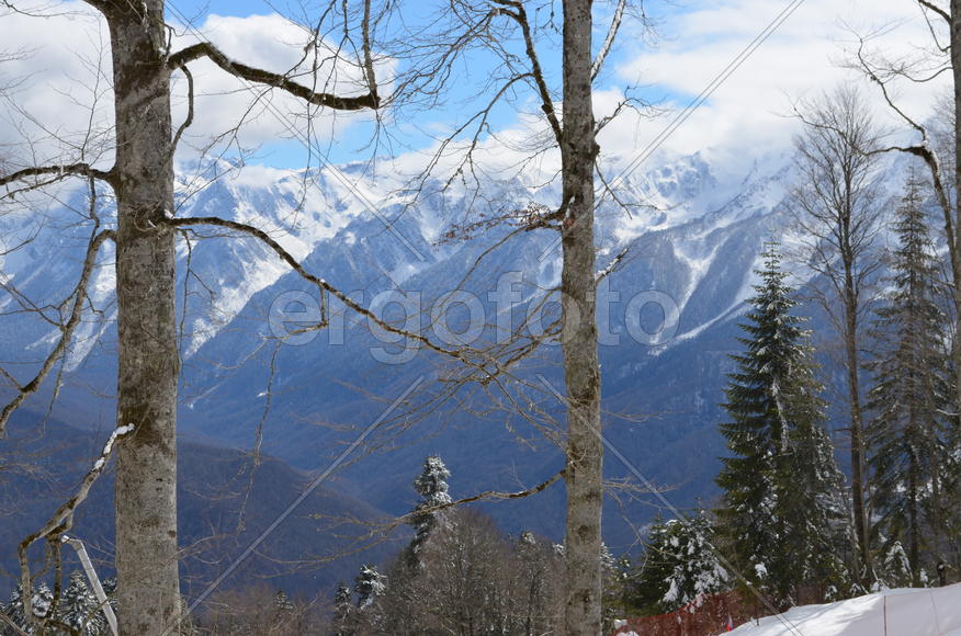 Горное царство