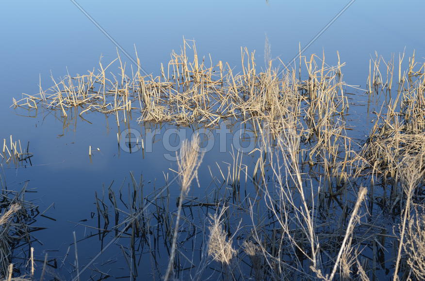 Зеркало воды