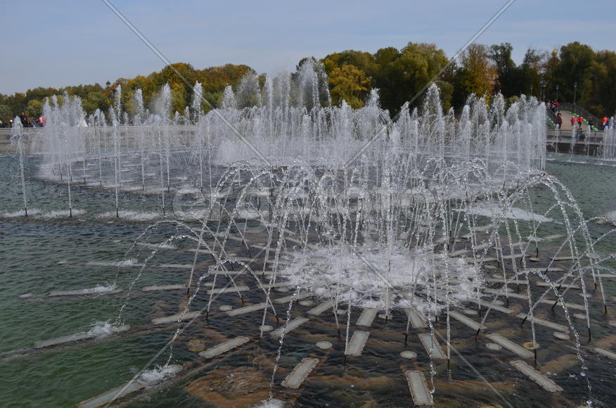 Подарок для Екатерины II