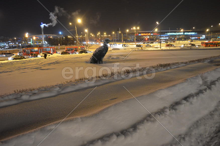 Ночная Казань. Жар-птица на зимовке